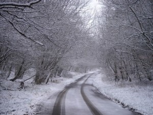 winter